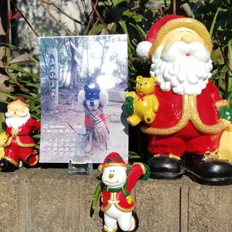 高尾山でメリークリスマス クロちゃん カレンダー Kikoさんの高尾山 陣馬山 景信山の活動データ Yamap ヤマップ