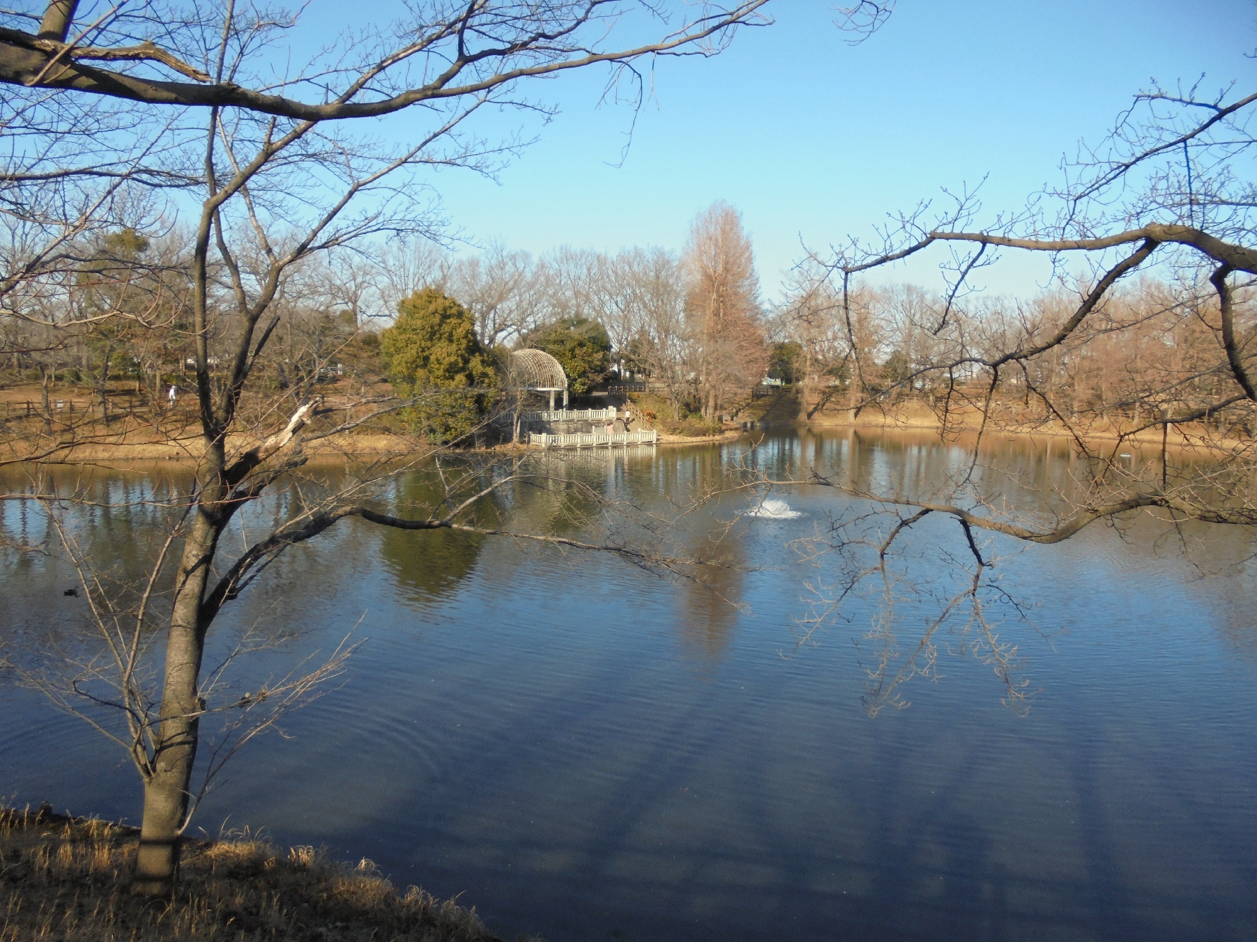 連休最後の日に 御伊勢塚公園までちょっとだけ走ってこよう 02 11 こうたろうさんの川越市の活動データ Yamap ヤマップ