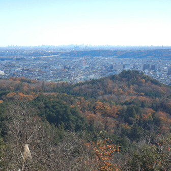 天覧山の紅葉と飯能の街！