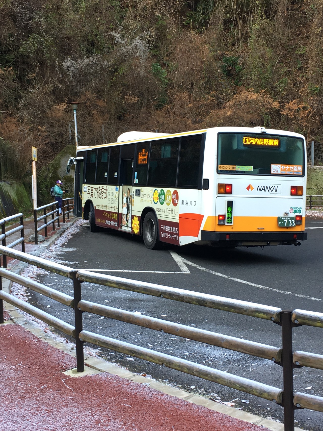 上り納めの金剛山 Kaeponさんの金剛山 二上山 大和葛城山の活動データ Yamap ヤマップ