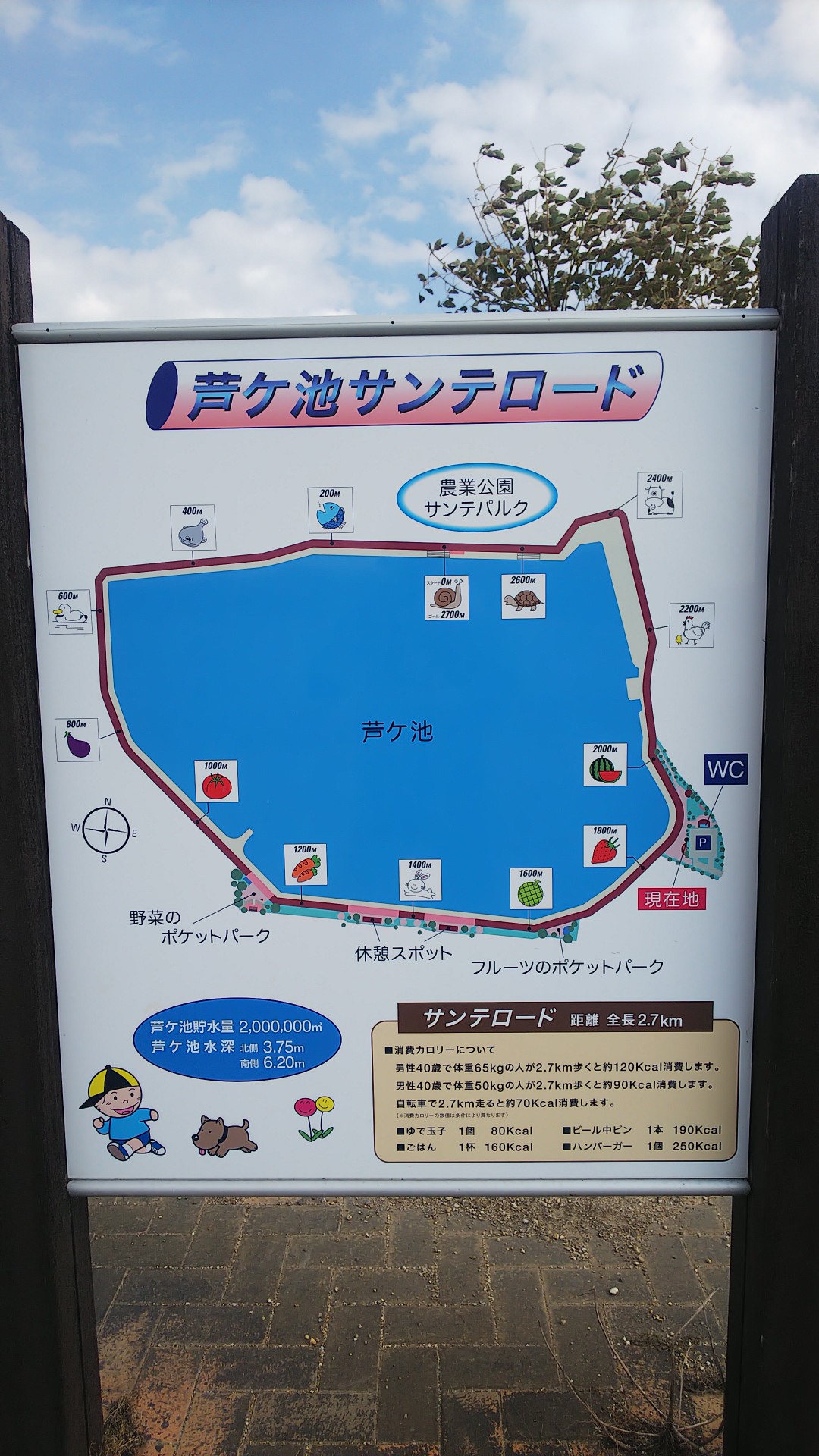 鬼堕トレイル【渥美半島】 / 辺境警備隊長さんの雨乞山(愛知県)・大山 