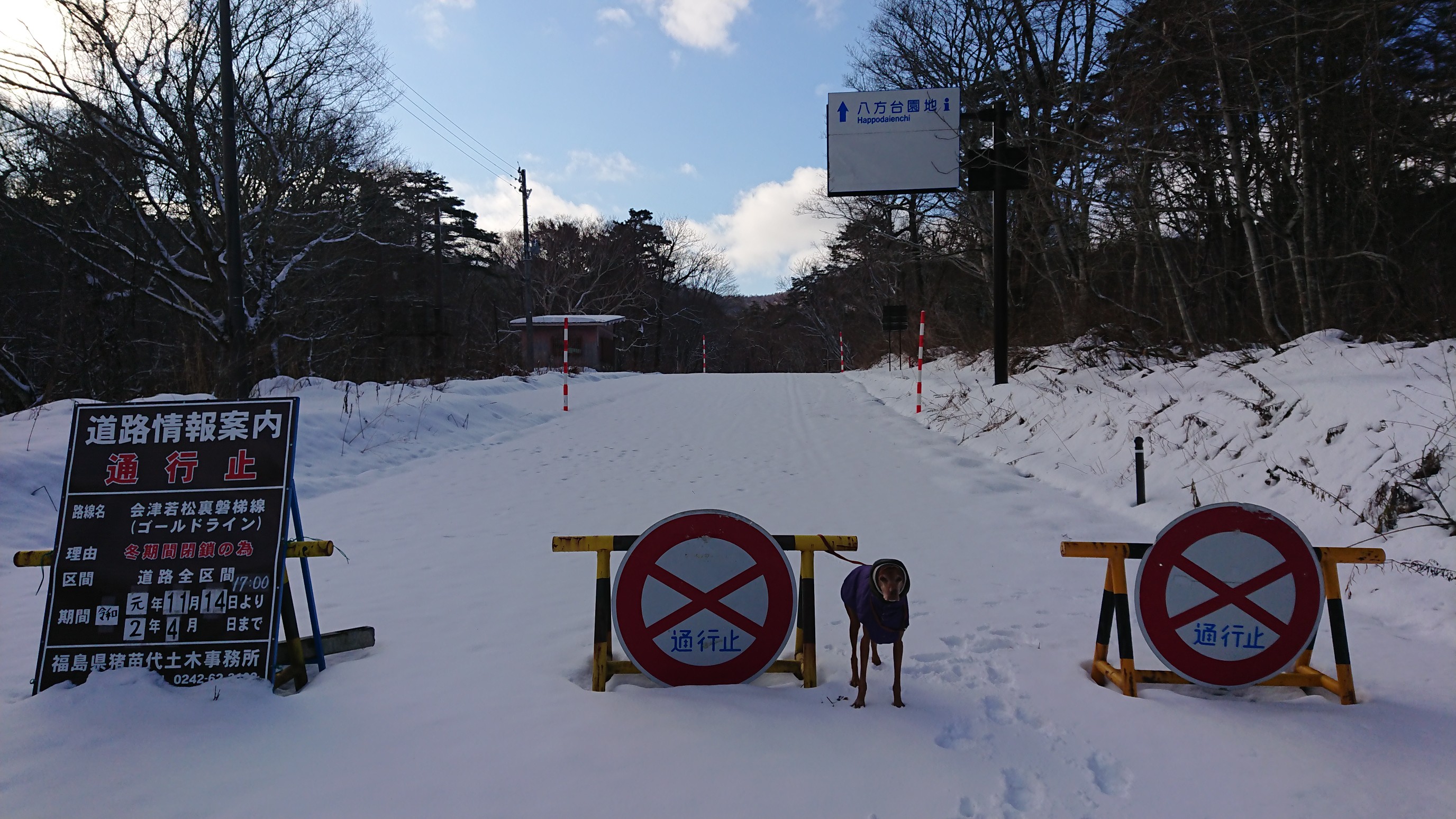 磐梯山ゴールドラインで散歩 01 11 Vizsreeさんの磐梯山 雄国山 赤埴山の活動データ Yamap ヤマップ