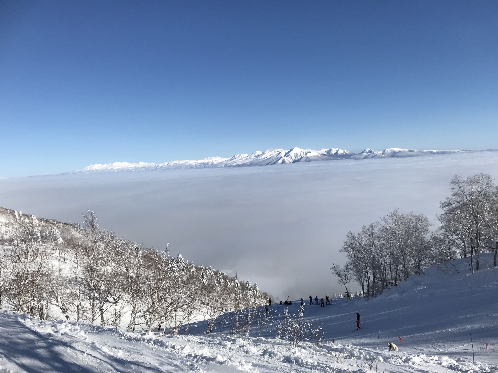 場 富良野 スキー