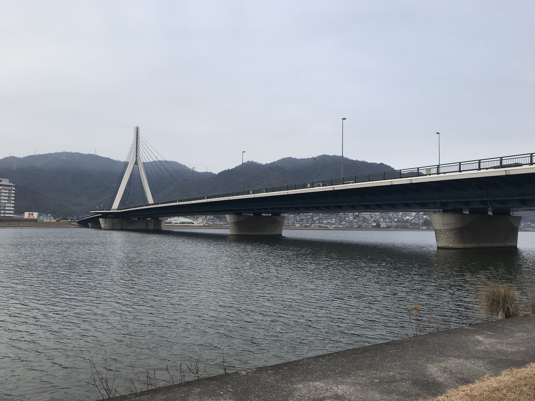 ウォーキング練習50km Yukiさんの蛇円山の活動日記 Yamap ヤマップ