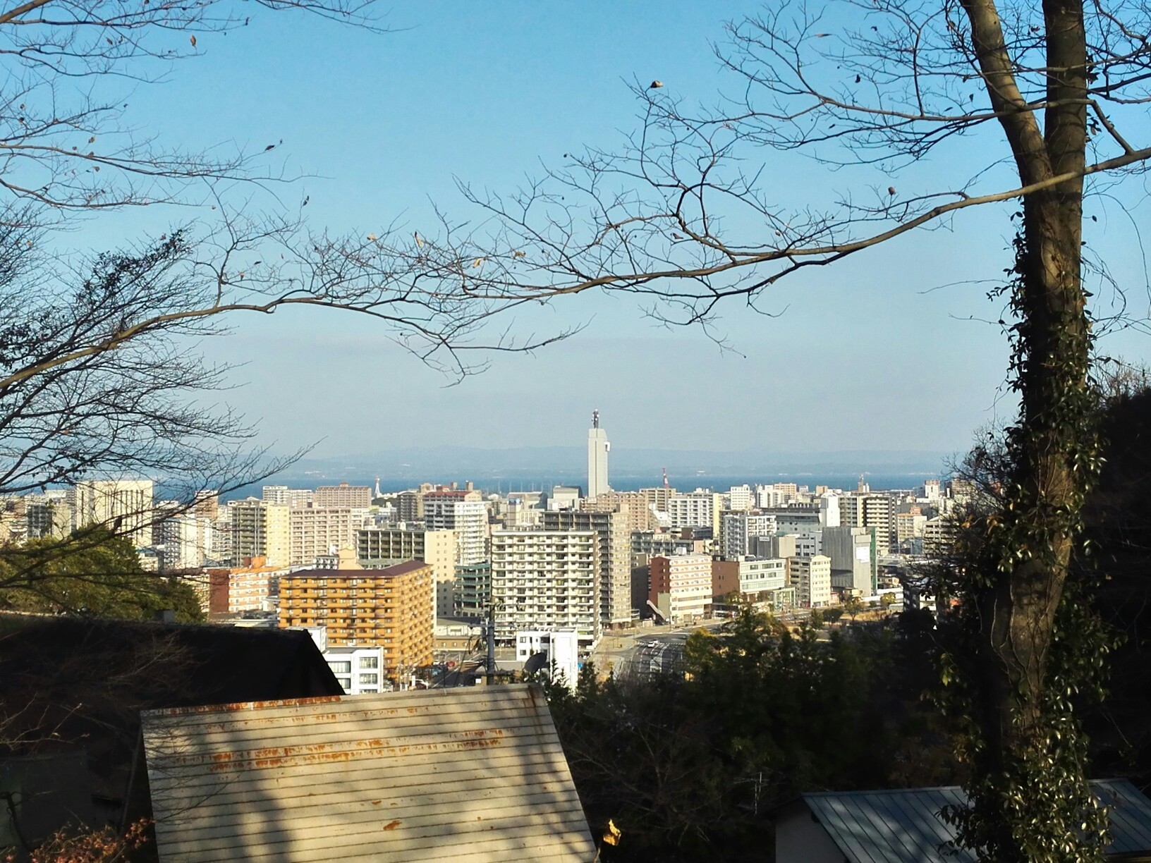 明けましておめでとうございます ゆうぼーんさんの大分市の活動日記 Yamap ヤマップ