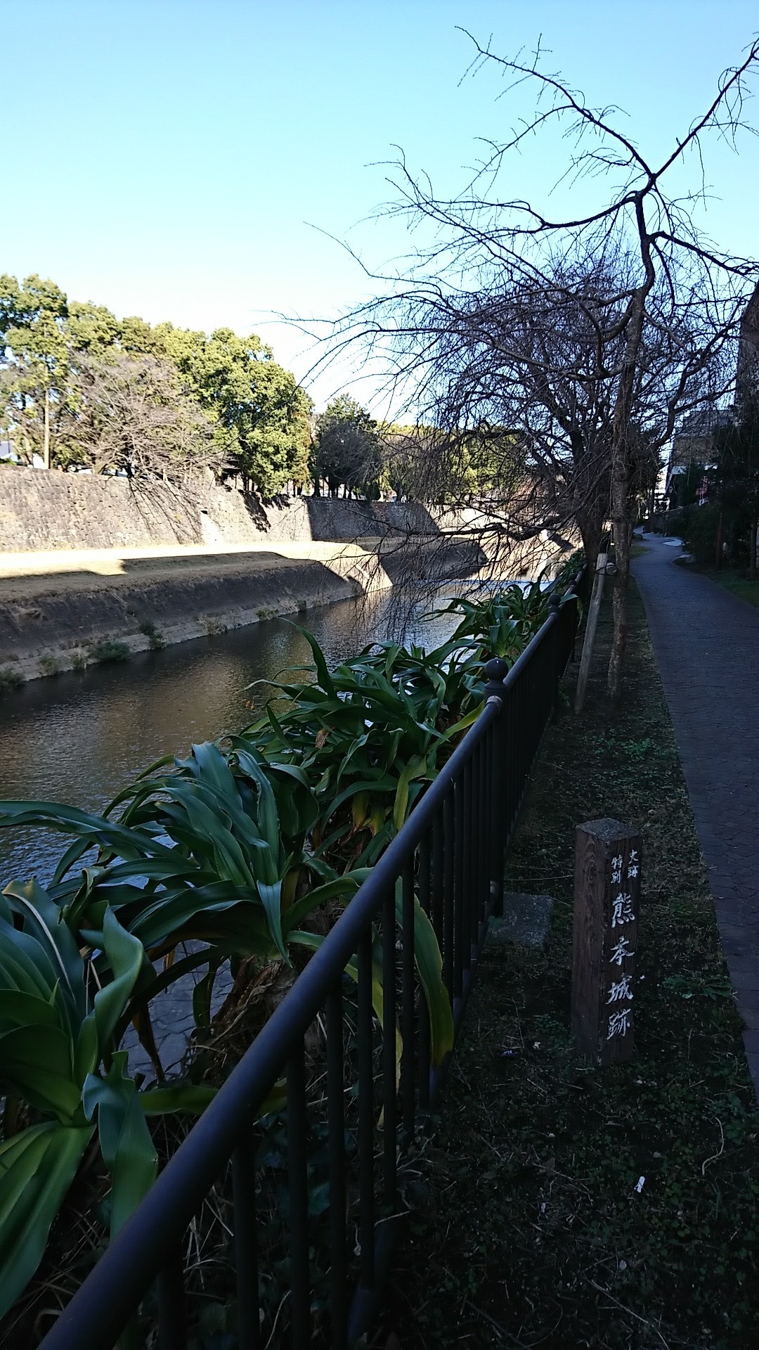金峰山 熊本市 なんちゃってブラ モリの山歩き Mieeさんの金峰山 熊本県 二ノ岳 三ノ岳の活動日記 Yamap ヤマップ
