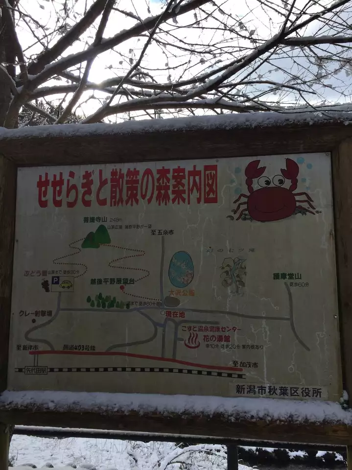 高立山 大沢公園から 五段滝コース しったかぶりこさんの田上町の活動日記 Yamap ヤマップ