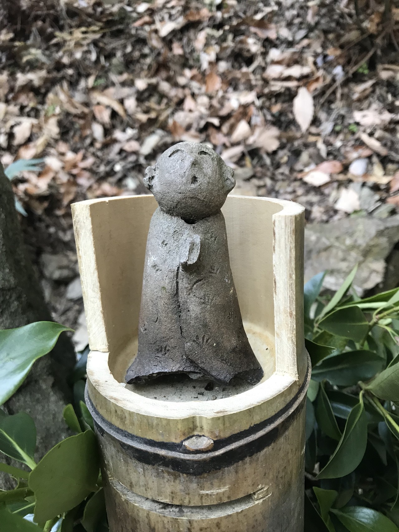 Relive 文化の森から植物園 あずり越え