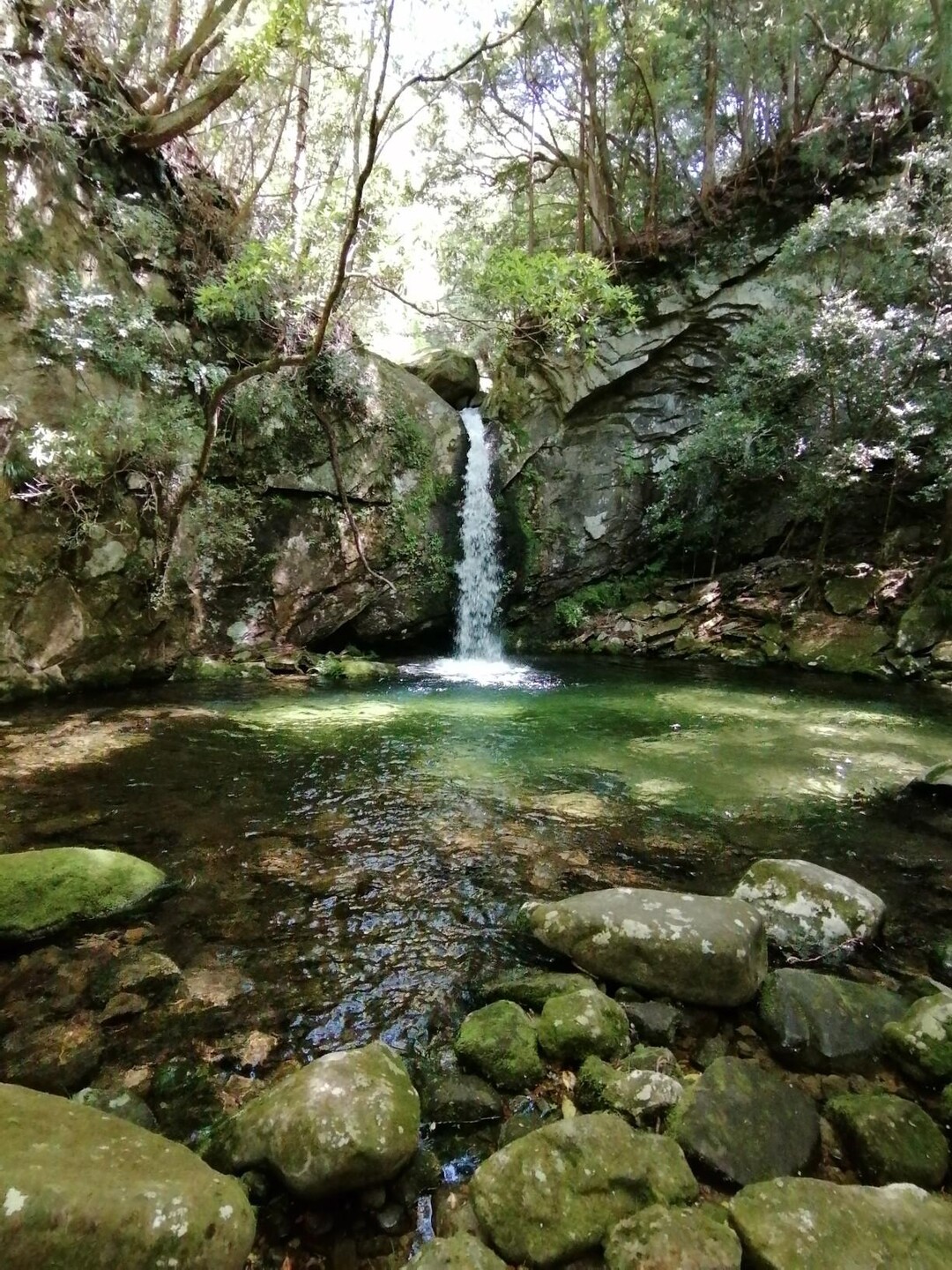 百間谷、百間山 / kimi4126さんの百間山・半作嶺・三ッ森山の活動データ YAMAP / ヤマップ