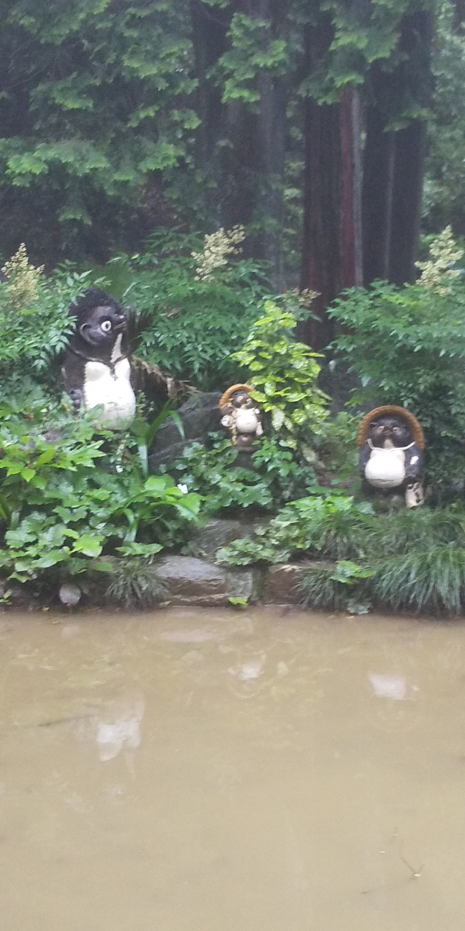 高尾山 陣馬山 泥んこ祭り 赤池あざらしさんの高尾山 陣馬山 景信山の活動データ Yamap ヤマップ