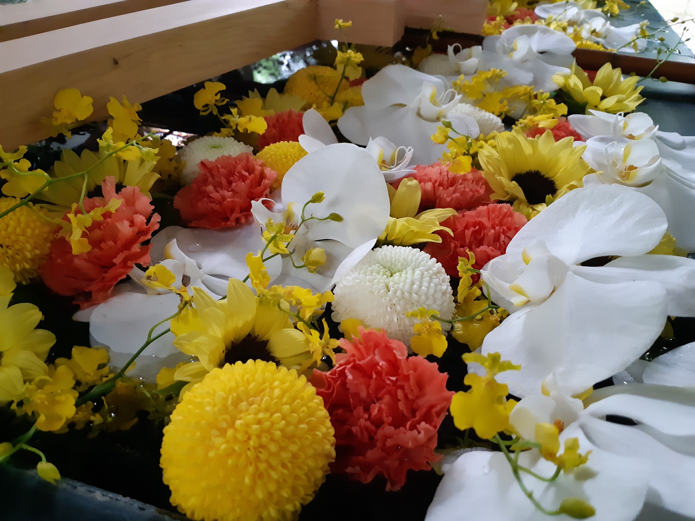 帯広神社 花手水 Epicさんの帯広市の活動データ Yamap ヤマップ