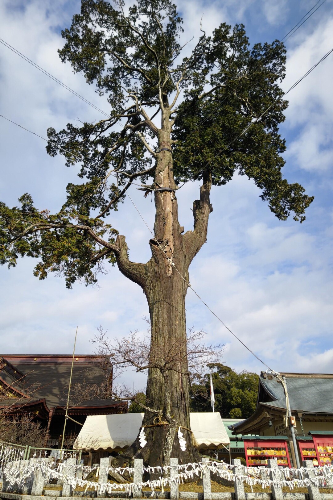⛩️見附宿散策🏫 / とみやんさんの姫街道（見附宿・市野宿・気賀宿）の活動データ YAMAP / ヤマップ