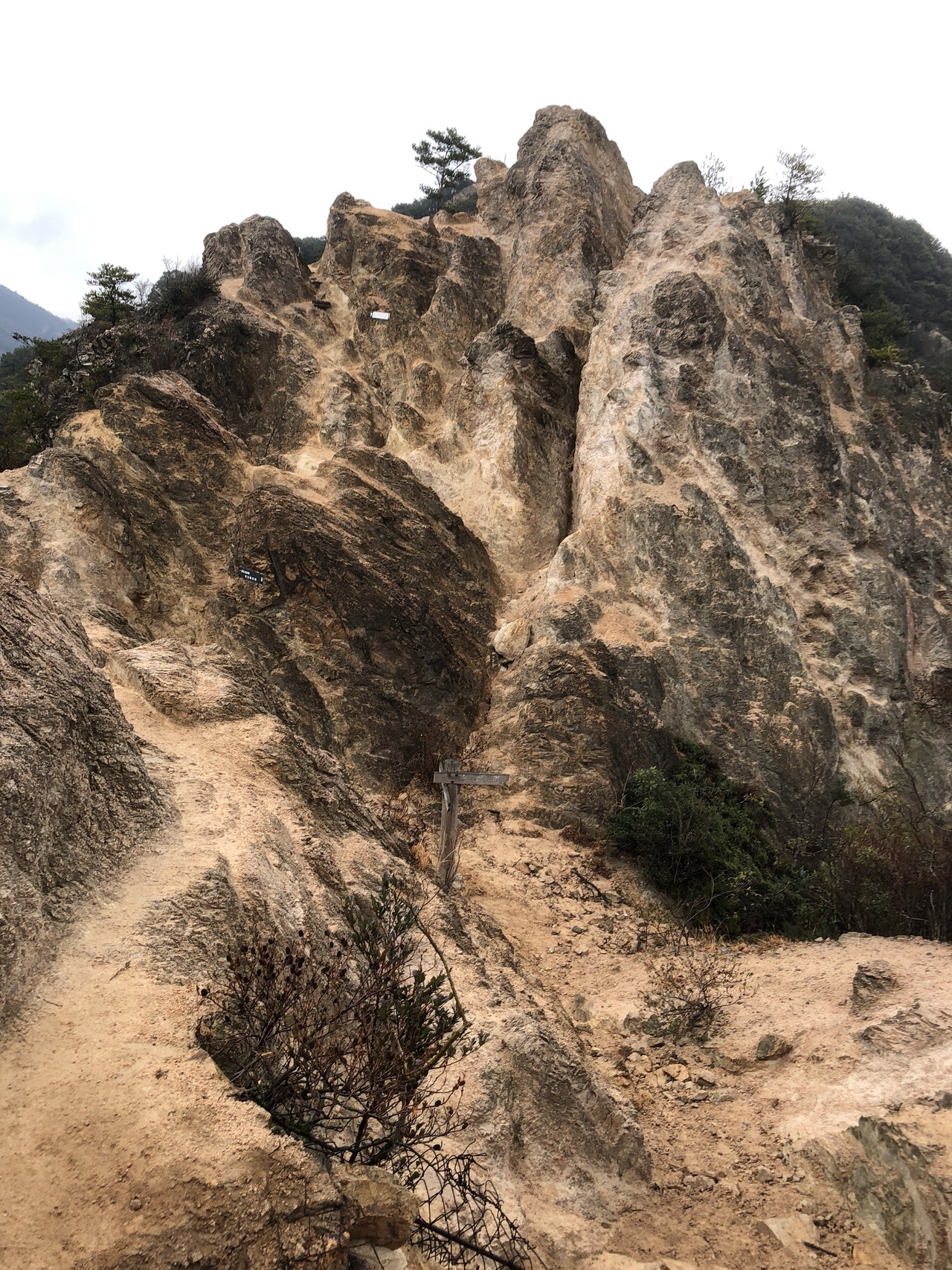 兵庫県 横尾山の馬の背 タタンさんの六甲山 長峰山 摩耶山の活動データ Yamap ヤマップ