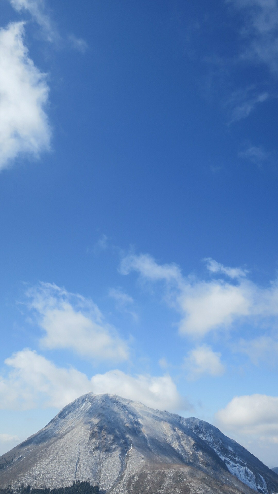 前人未踏の南平台 鶴見 でいさんの由布岳 鶴見岳の活動日記 Yamap ヤマップ