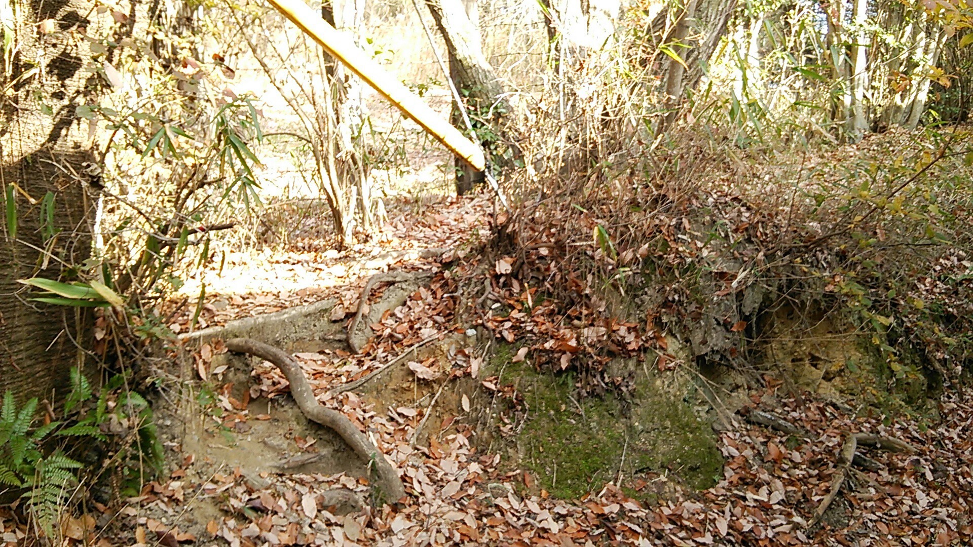 Http Manyoug Jp Wordpress Wp Content Uploads 2014 03 Manyo 065 Pdf