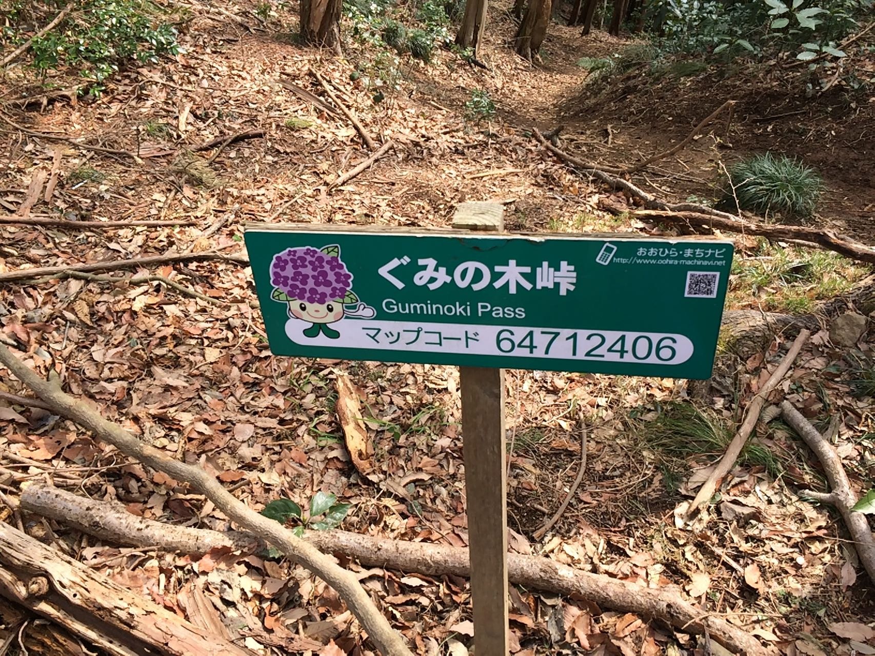 大中寺 ぐみの木峠 晃石山 清水寺 ゆうちゃんさんの太平山 晃石山 唐沢山の活動データ Yamap ヤマップ