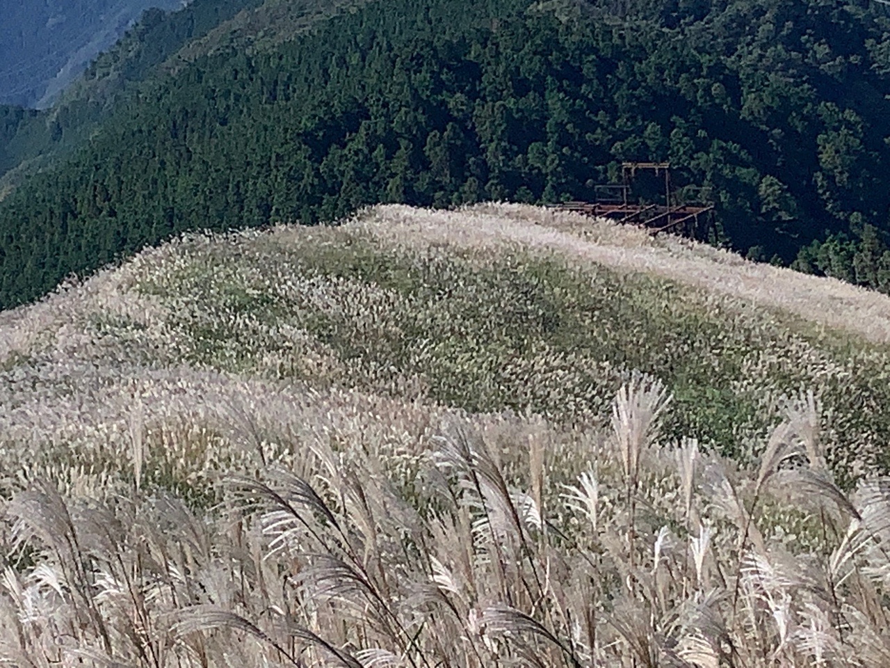 岩湧寺 岩湧山 周回コースの地図 登山ルート 登山口情報 Yamap ヤマップ