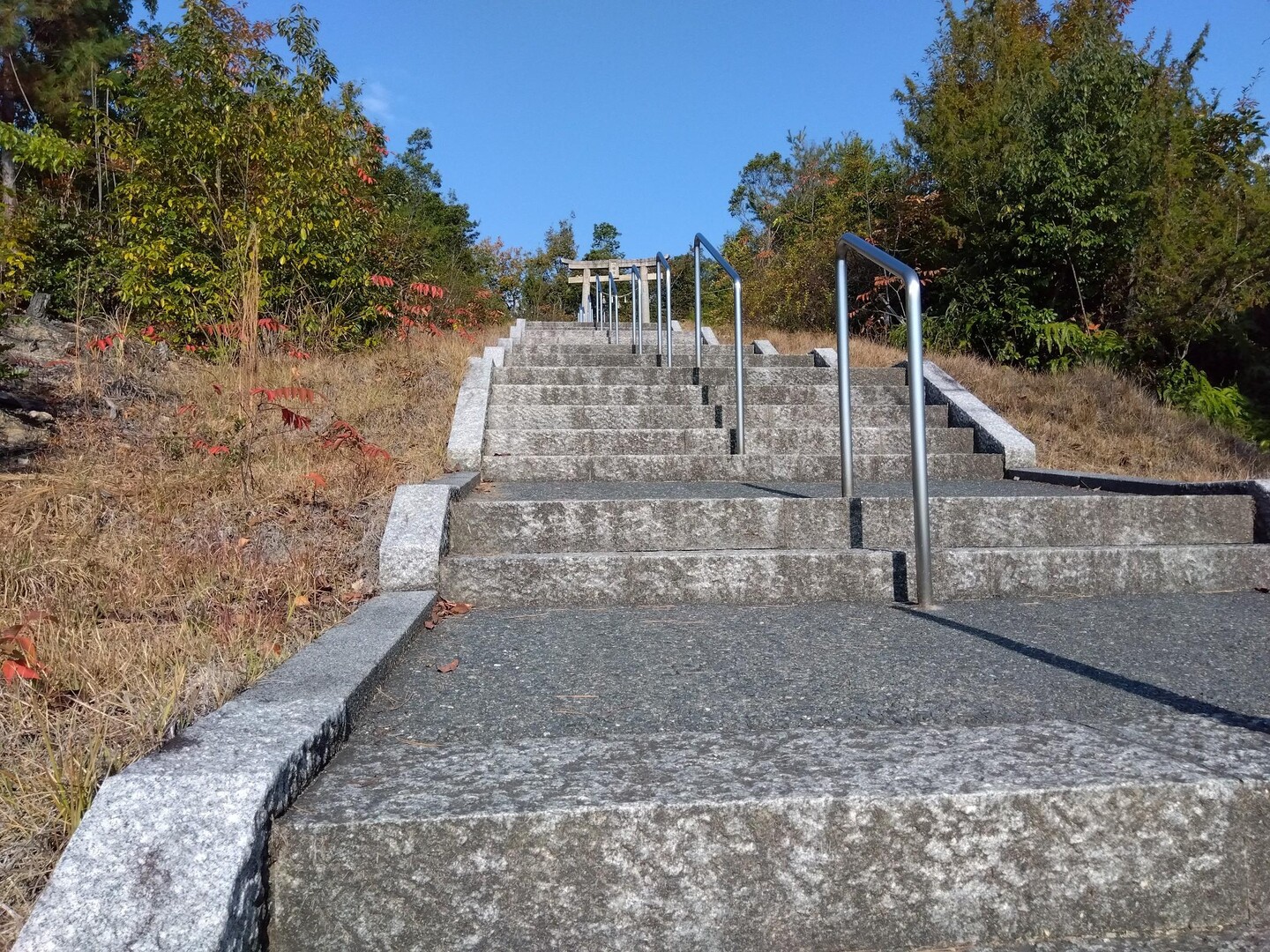 八幡山 / よこちゃんさんの八幡山の活動データ YAMAP / ヤマップ