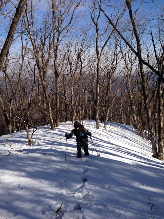 積雪時の榛名山外輪山周回 はやまるさんの榛名山 天狗山 天目山の活動データ Yamap ヤマップ