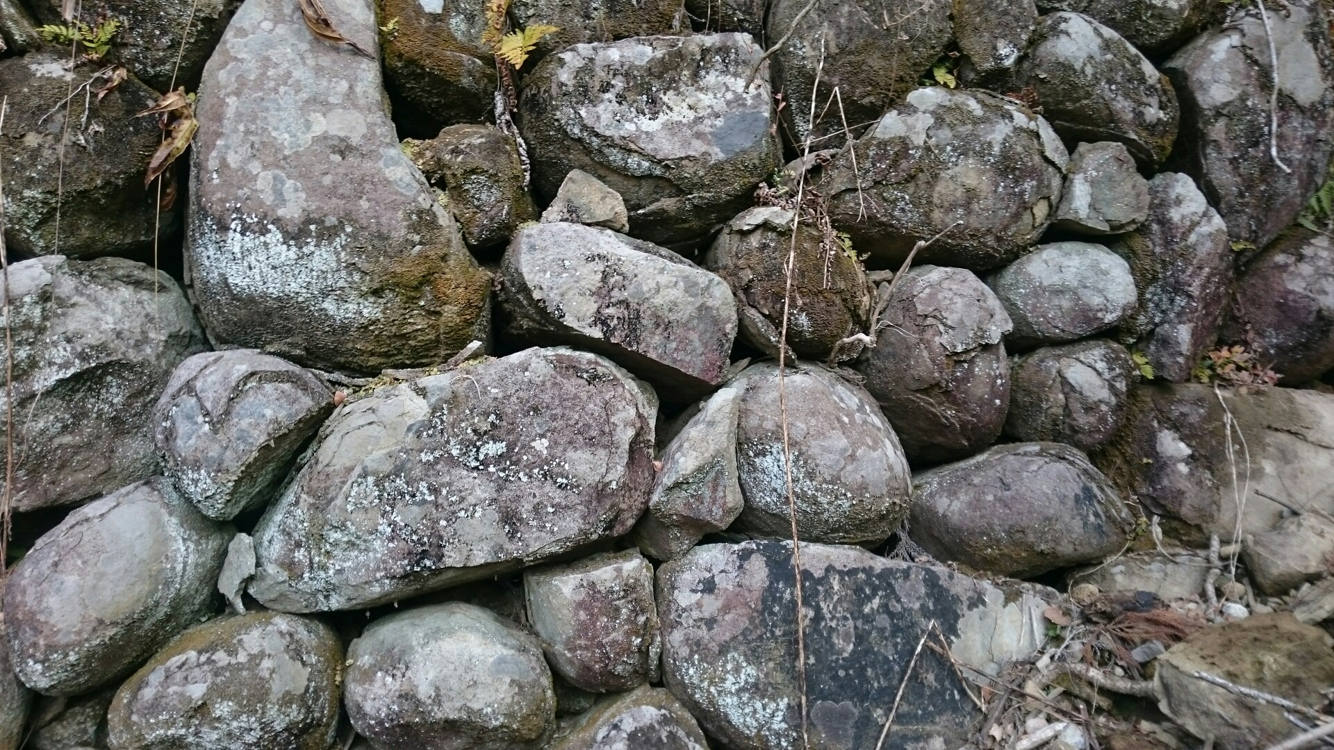 水墨画から現れた大滝 霧島さんの冠岳 宮崎県 の活動日記 Yamap ヤマップ