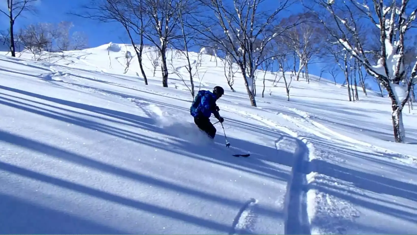大日ヶ岳バックカントリースキー / Ichiさんの大日ヶ岳・毘沙門 大日ヶ岳バックカントリースキー / Ichiさんの大日ヶ岳・毘沙門