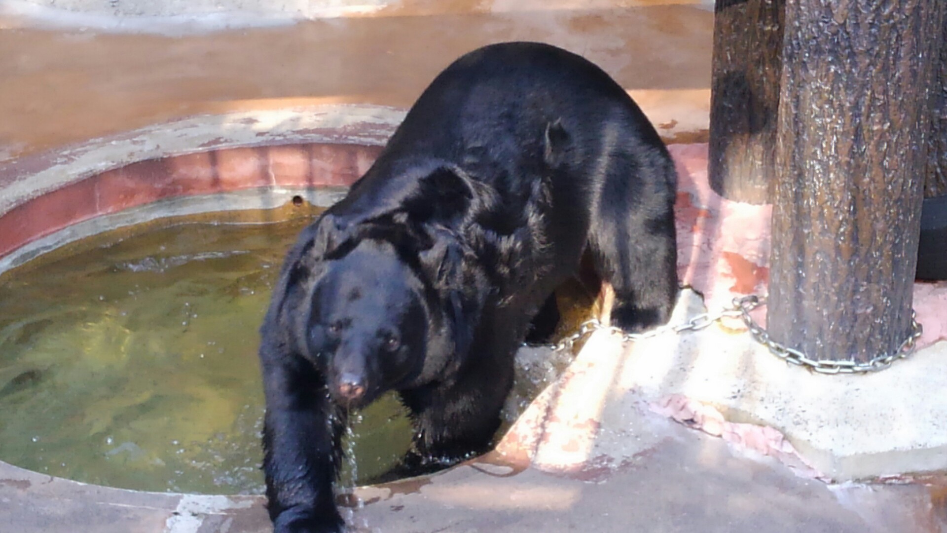 福岡市動物園 つんさんの 公式 福岡市 防災情報含む の活動日記 Yamap ヤマップ