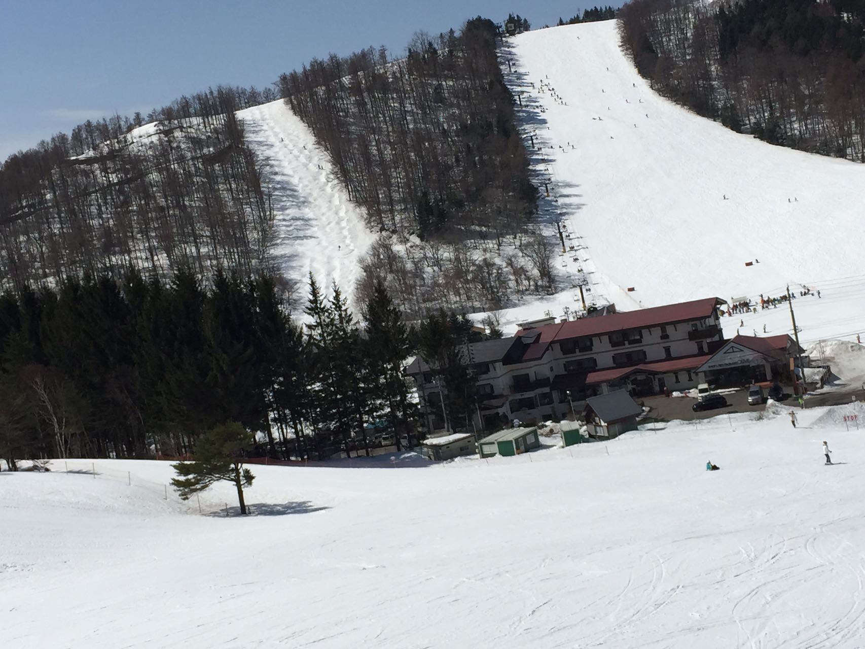 ２日目の菅平高原春スキー Ryuさんの四阿山 根子岳の活動日記 Yamap ヤマップ
