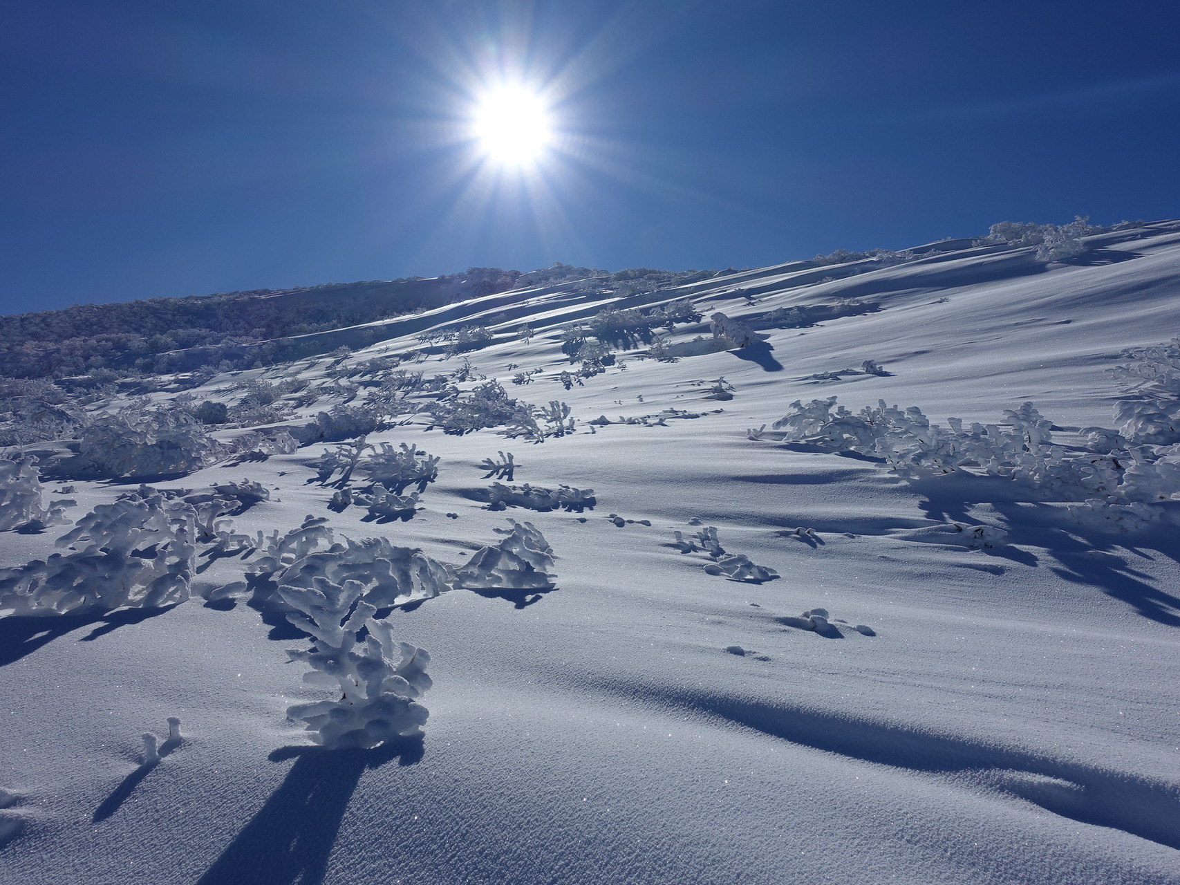 場 箕輪 スキー