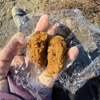 売店のおばちゃんにもらった鹿児島名物のおやつ
口の中の水分すべてもってかれた笑