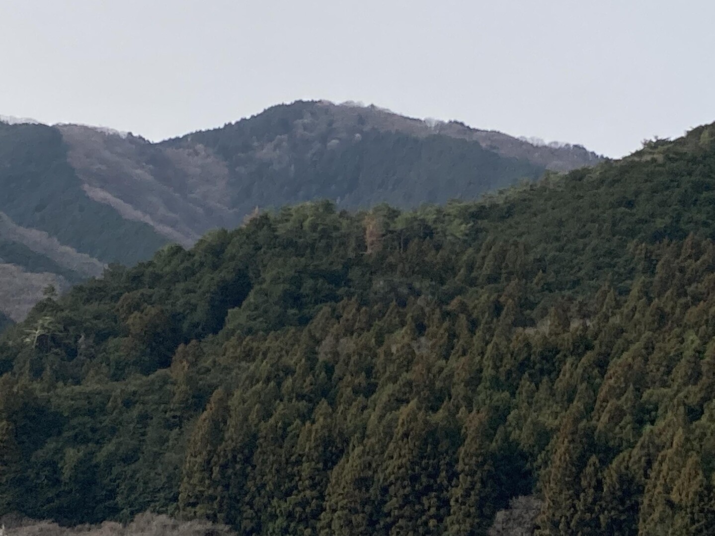 大鳥屋山 / taka.runskiさんの大鳥屋山・岳ノ山の活動データ YAMAP / ヤマップ