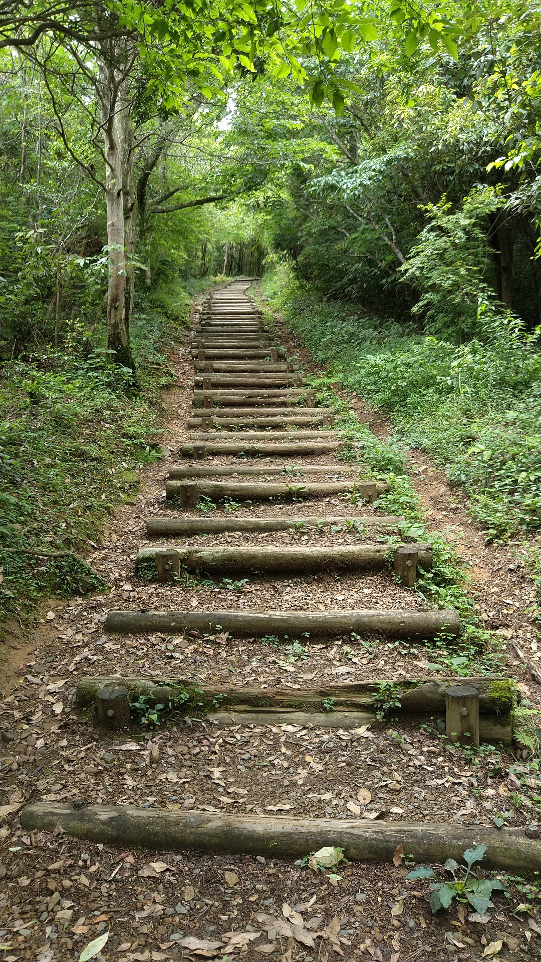 東鳳翩山 ミチヒロさんの山口市の活動日記 Yamap ヤマップ