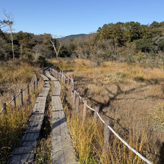 葦毛湿原に下山🎶