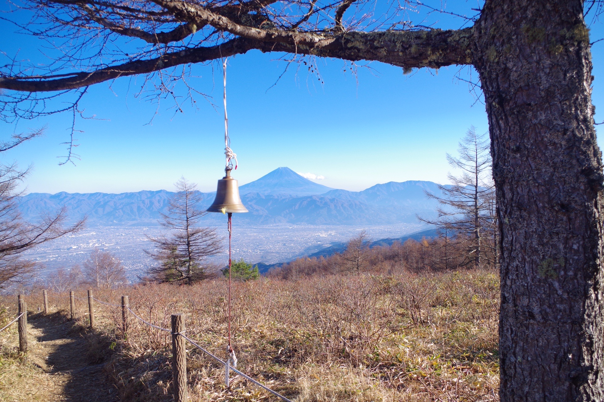 甘利山 奥甘利山 大西峰 千頭星山 りくさんの鳳凰山 地蔵岳 観音岳 薬師岳の活動データ Yamap ヤマップ