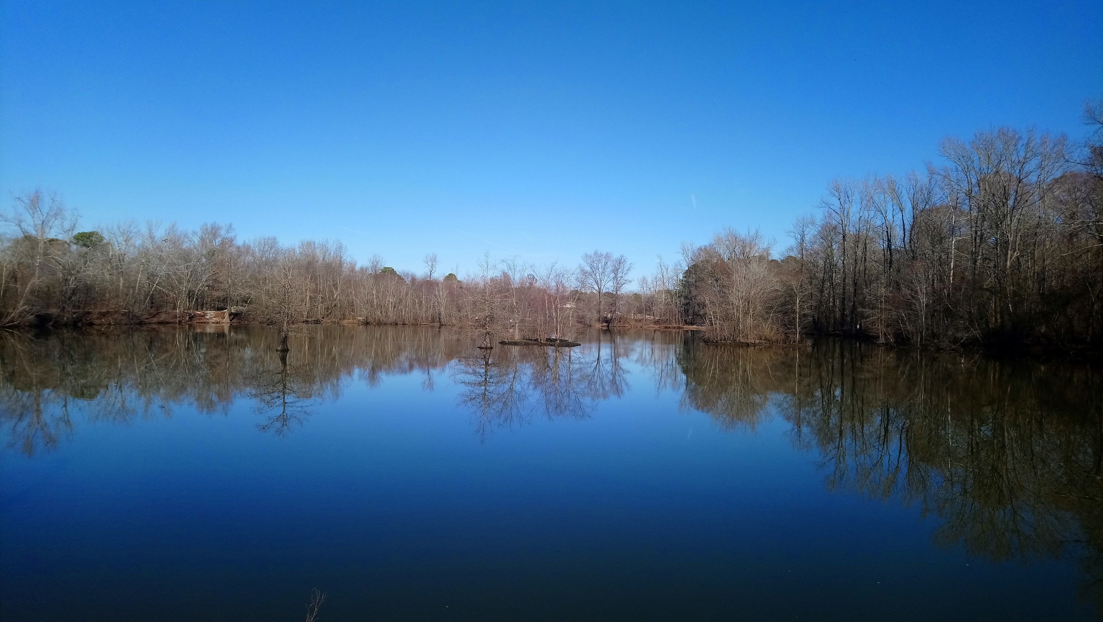 山登りではありません 近所の公園を散歩 Takec さんのチャペルヒル ノースカロライナ州 の活動データ Yamap ヤマップ