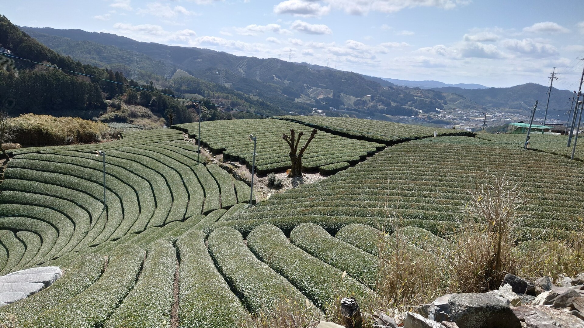 鷲峰山 金胎寺行場巡り 茶どころ和束から宇治田原へ Pop555さんの鷲峰山 釈迦岳の活動データ Yamap ヤマップ