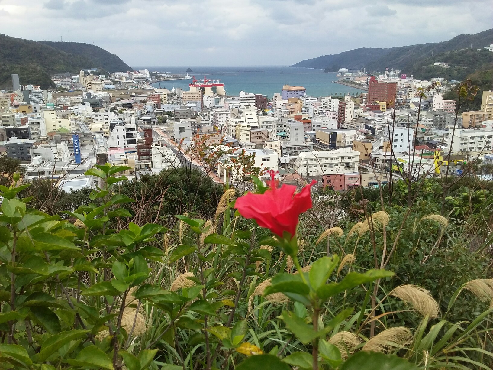 おがみ山 奄美市名瀬のシンボル かみなりさんの奄美大島 北部 の活動日記 Yamap ヤマップ