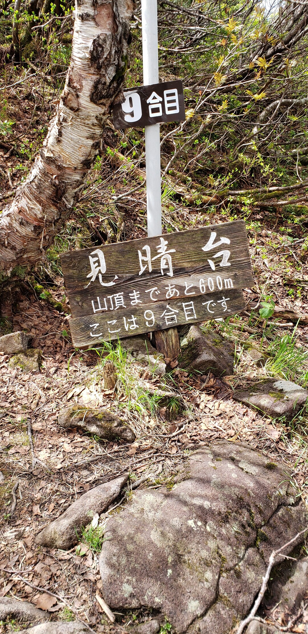 徳舜瞥山 ホロホロ山 徳舜瞥山 ホロホロ山の写真7枚目 Yamap ヤマップ