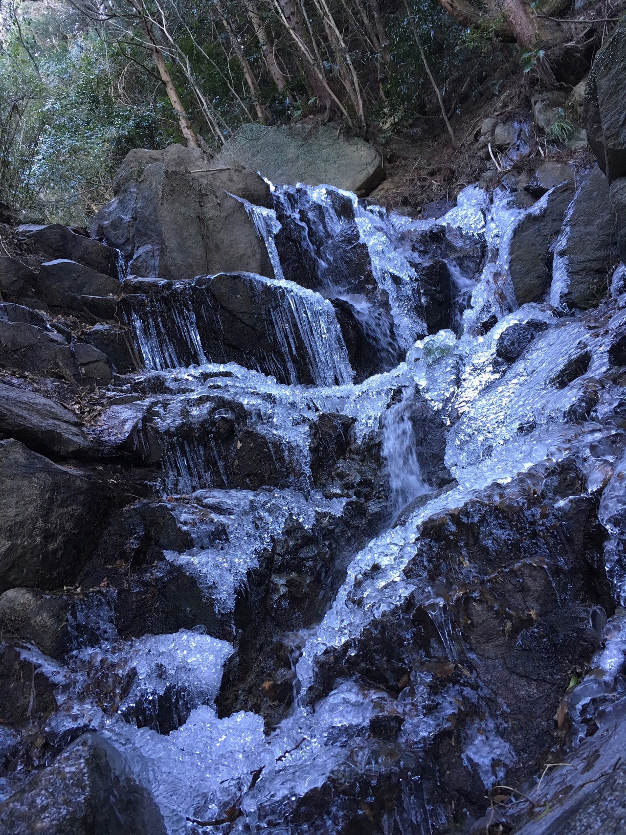 生駒山 忘れられた道 箕後川 雌滝雄滝へ エウさんの生駒山 神津嶽 大原山の活動データ Yamap ヤマップ