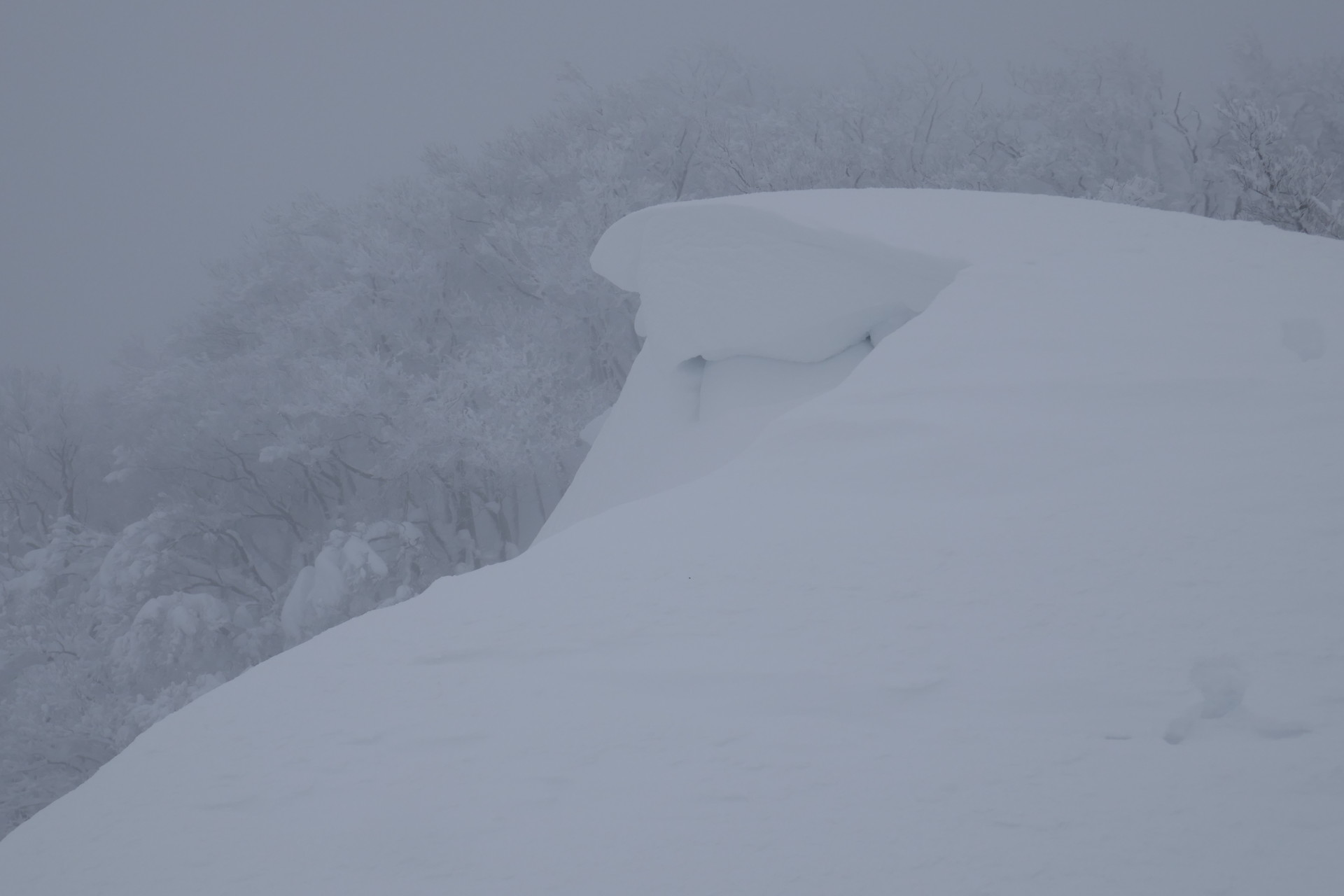 綿向山 雪たっぷりの綿向山 帰り道ではスタックした車を牽引するおまけ付き Keith09さんの綿向山の活動データ Yamap ヤマップ