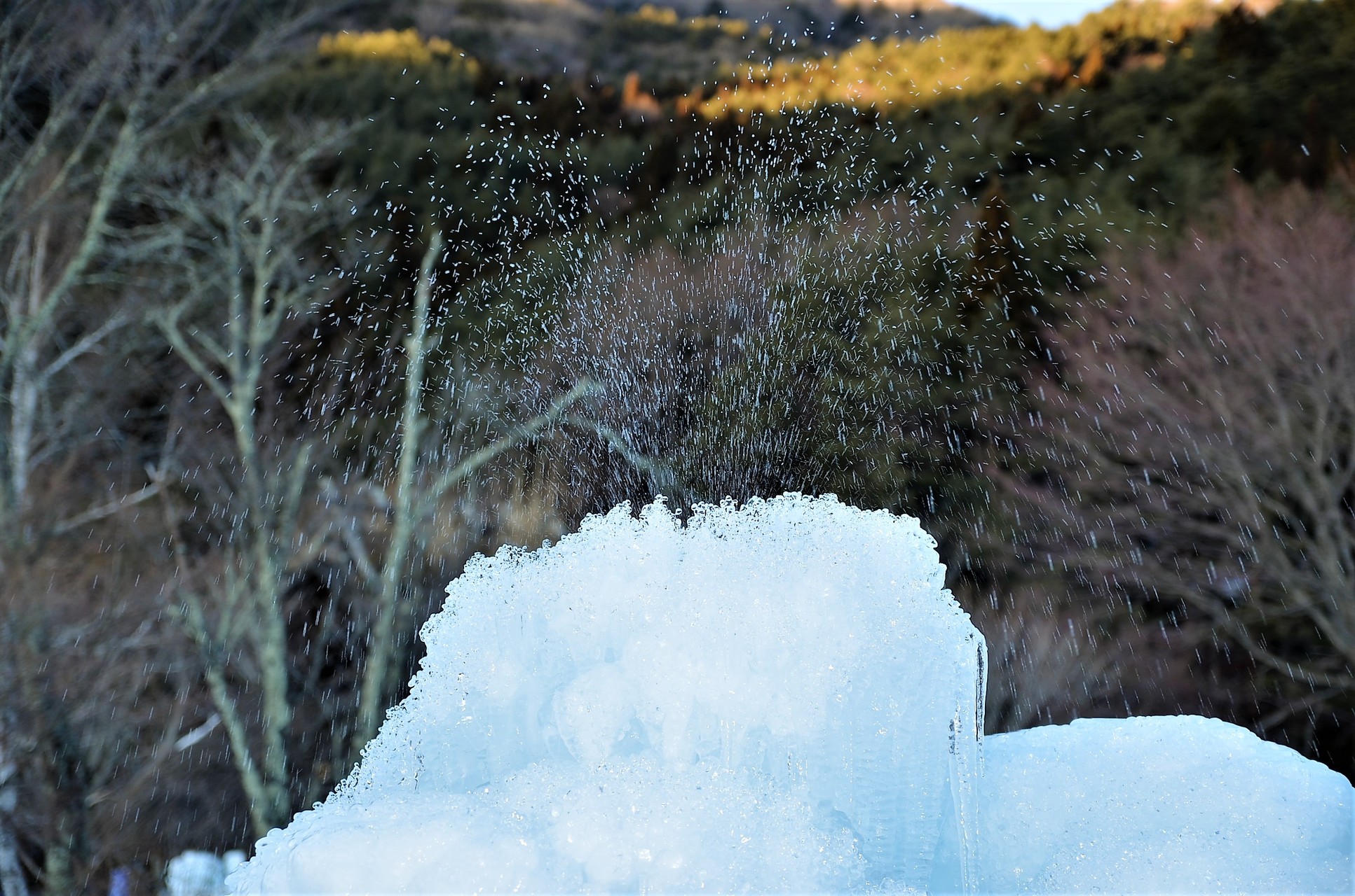 富士山 登ったわけではないですが プミラさんの三ッ峠山 本社ヶ丸 鶴ヶ鳥屋山の活動日記 Yamap ヤマップ