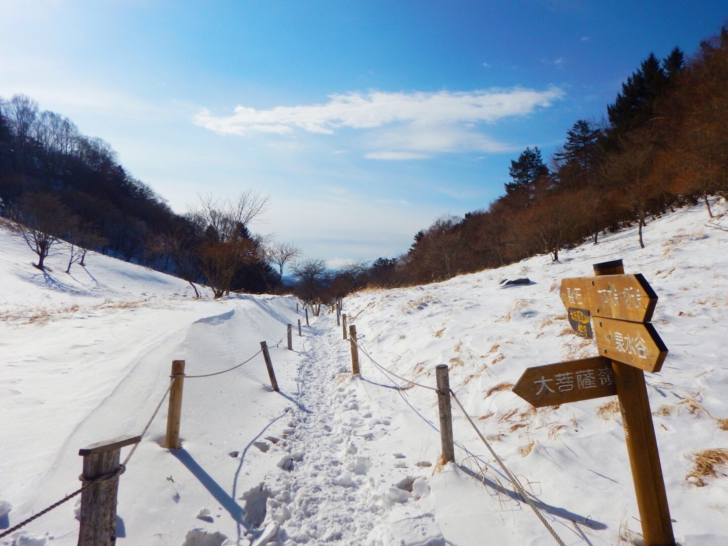 雪の大菩薩嶺 裂石より旧峠 旧青梅街道を辿る Sayuky73 さゆき さんの大菩薩嶺 鶏冠山 大マテイ山の活動日記 Yamap ヤマップ