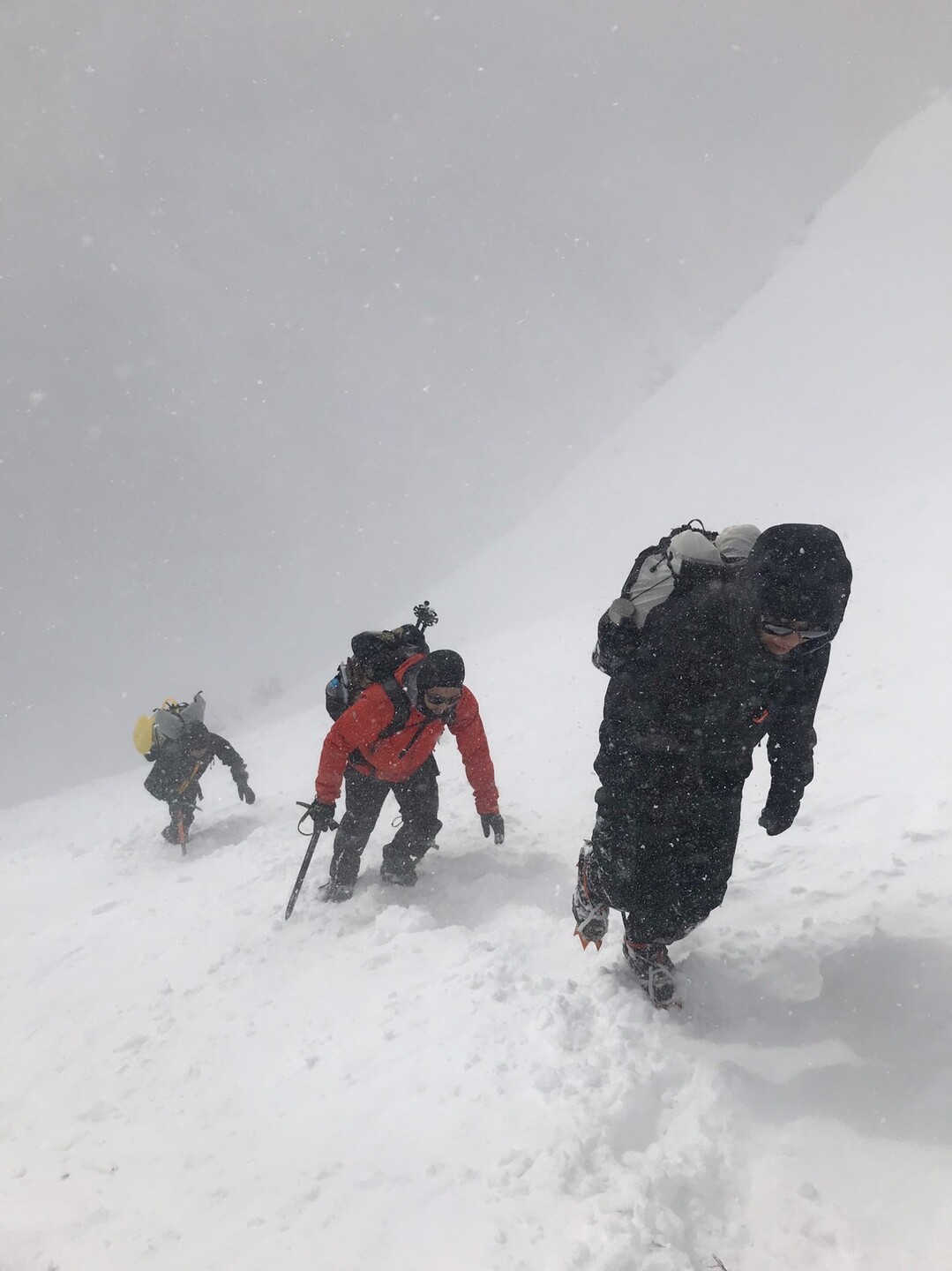 初雪山登山 / しんしんさんの伊吹山・伊吹高原・御座峰の活動データ YAMAP / ヤマップ
