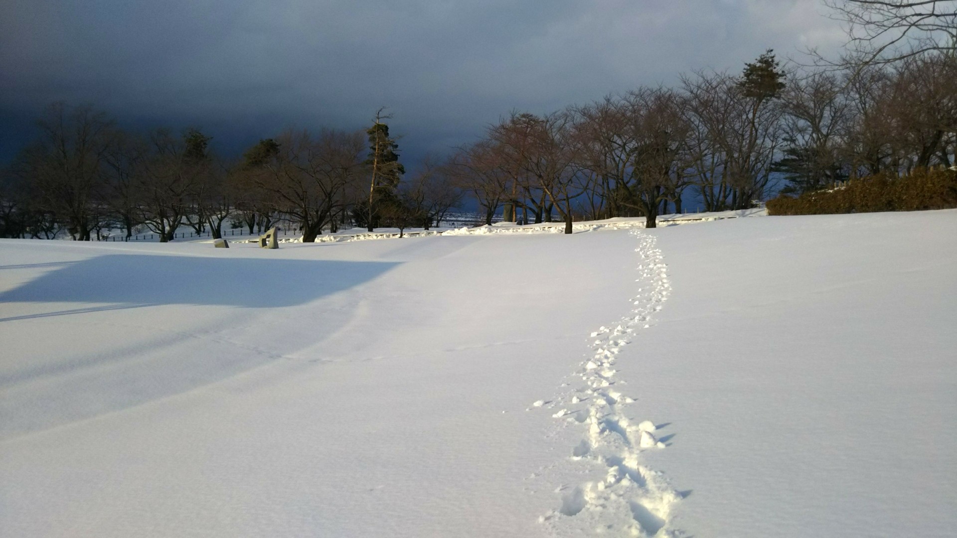 金失いの道ゆけば Ssブログ
