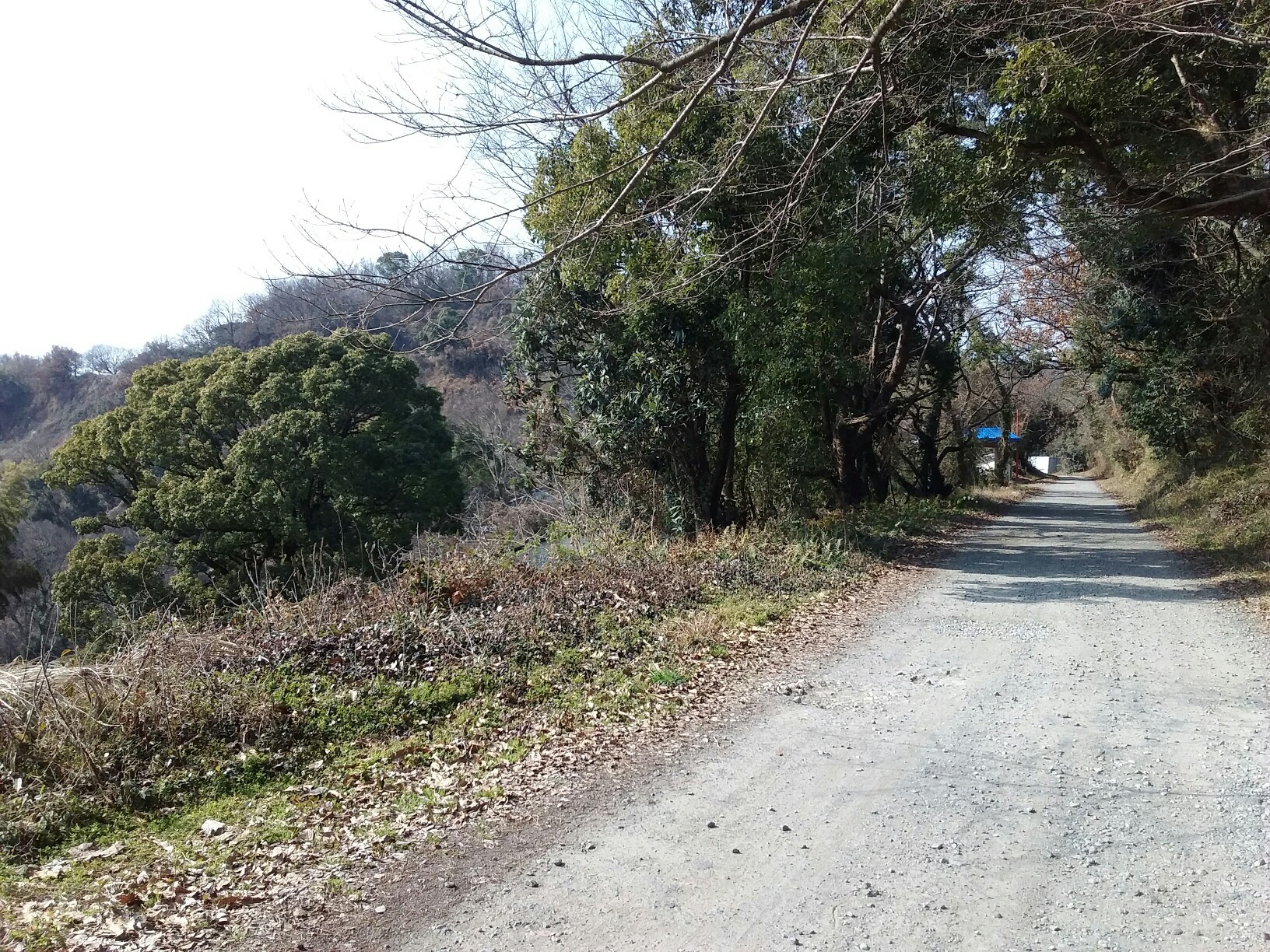 花岡 万日山 熊本 西区低山巡り かみなりさんの熊本市 中央 北エリアの活動日記 Yamap ヤマップ