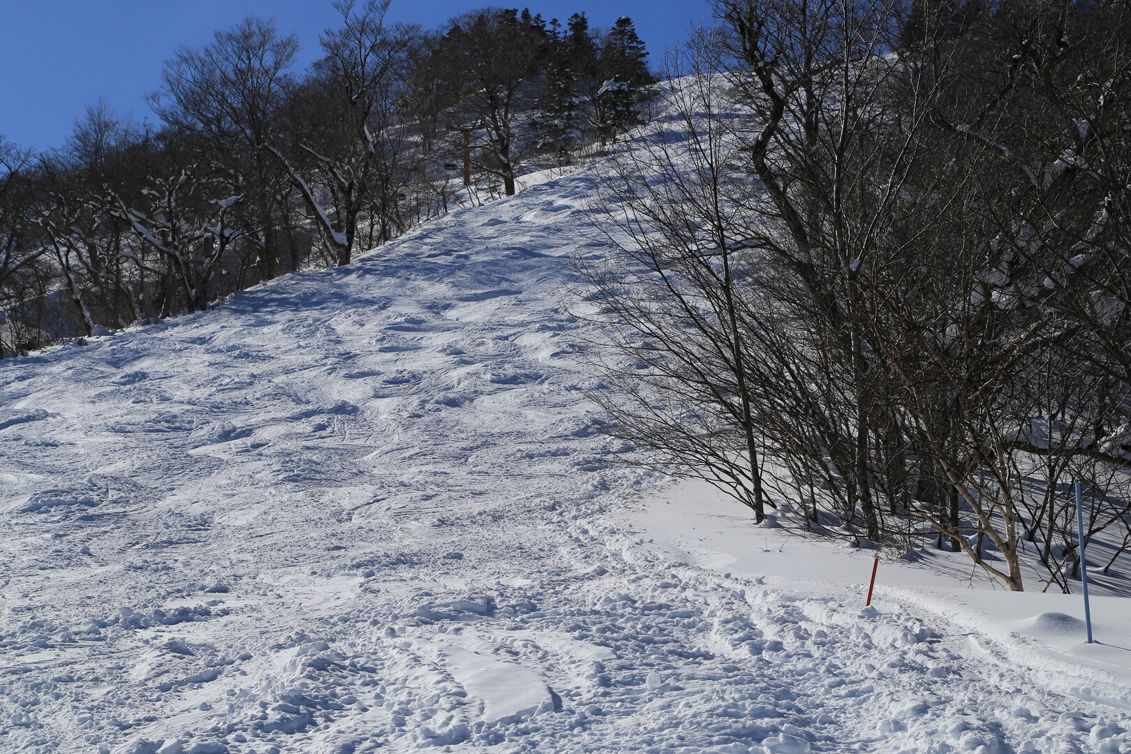 晴天の奥羽山脈 蔵王えぼしスキー場から 蔵王山 雁戸山 不忘山の写真12枚目 Yamap ヤマップ