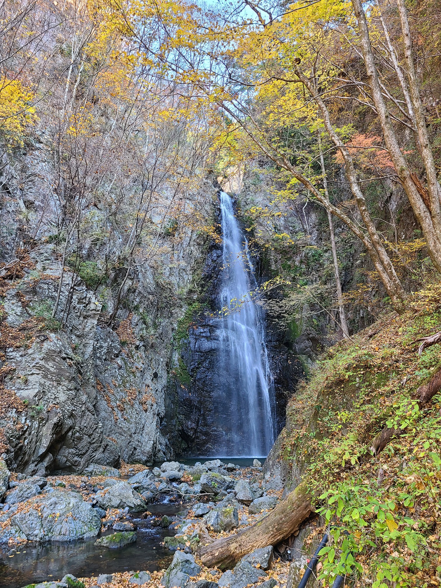 川苔山 川乗山 Toshiさんの川苔山 川乗山 の活動データ Yamap ヤマップ