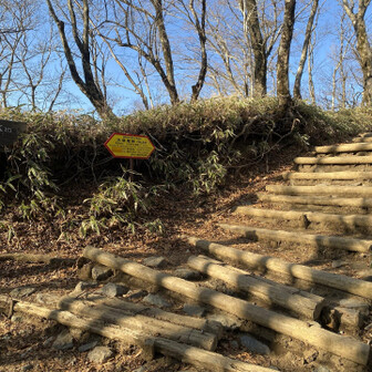 分岐まで来たー！あと少しー！(が大変なんだけど)