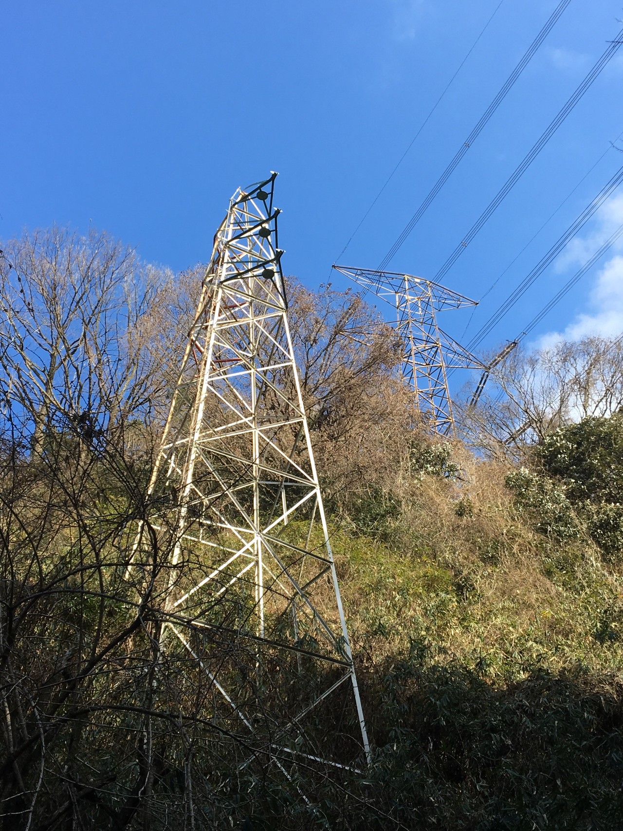 近鉄高圧鉄塔巡視路 ふたたび 豆助さんの生駒山 神津嶽 大原山の活動データ Yamap ヤマップ