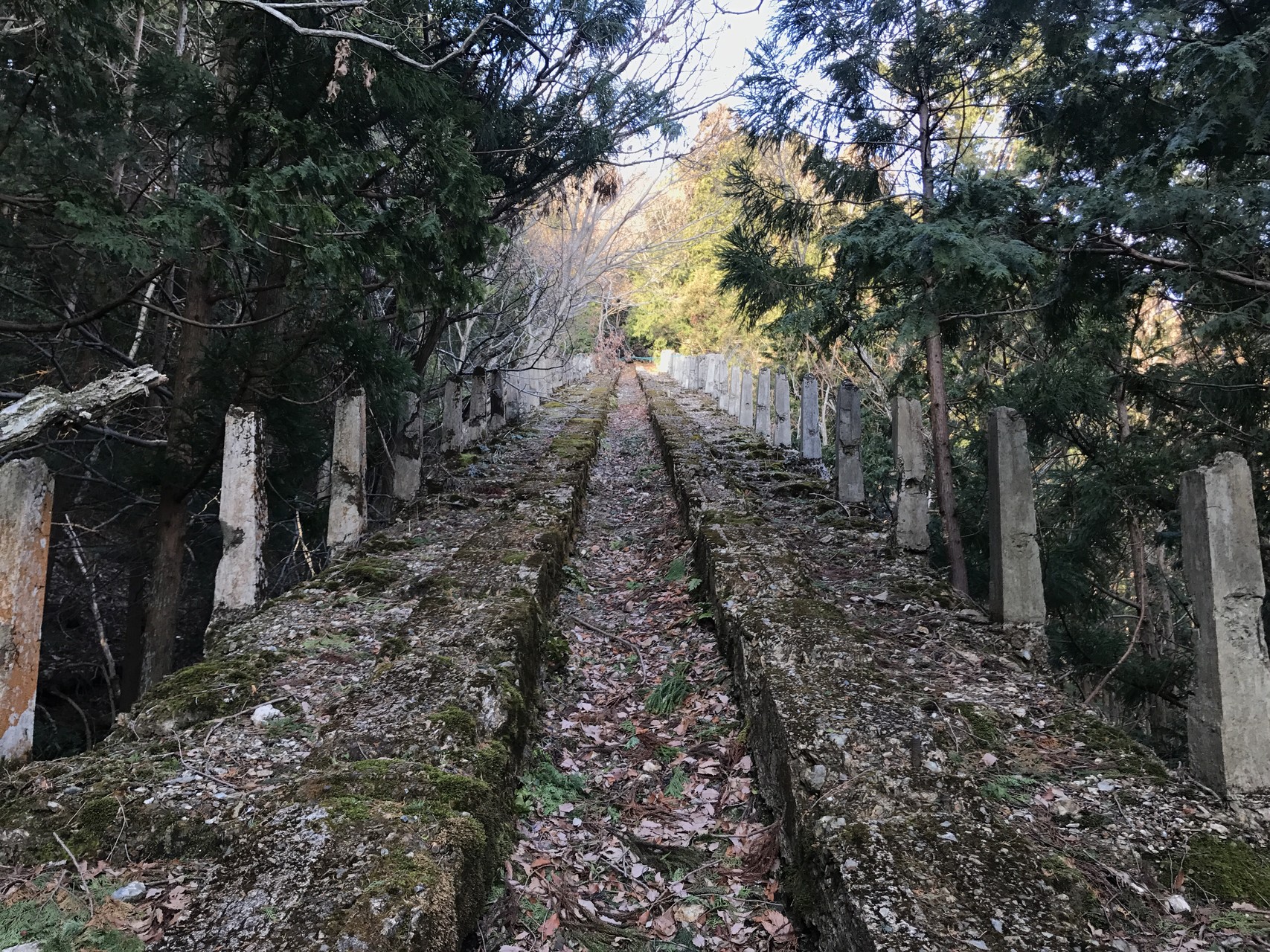 愛宕山登山 廃ケーブル跡ルートを登りましたよ 社長aさんの愛宕山 三頭山 朝日峯の活動データ Yamap ヤマップ