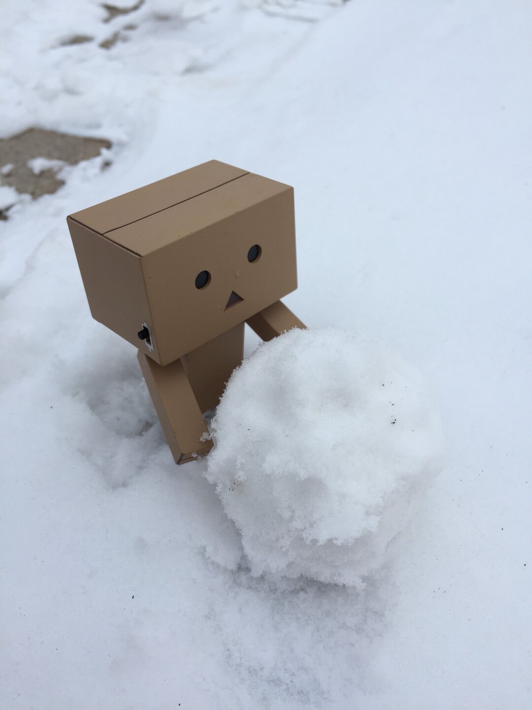 冬の鏡山 雪は降っておらず の巻 ネコポンタさんの唐津市 唐津エリアの活動データ Yamap ヤマップ